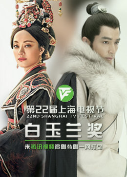 中原区优化网站建设公司