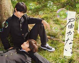 潍坊SEO整站优化哪家专业